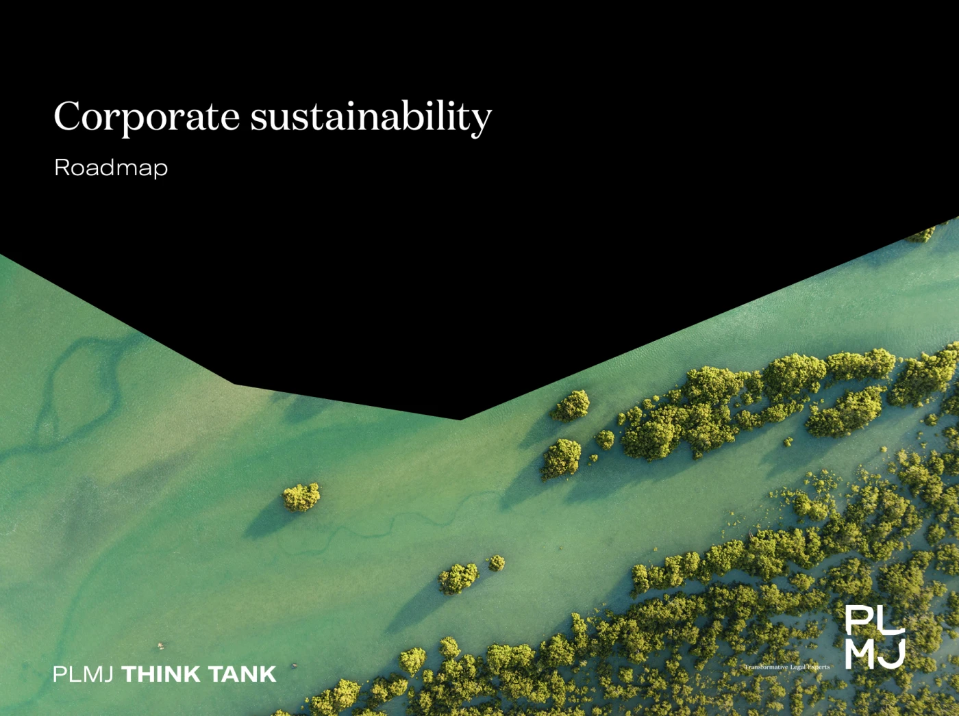 Corporate Sustainability Roadmap